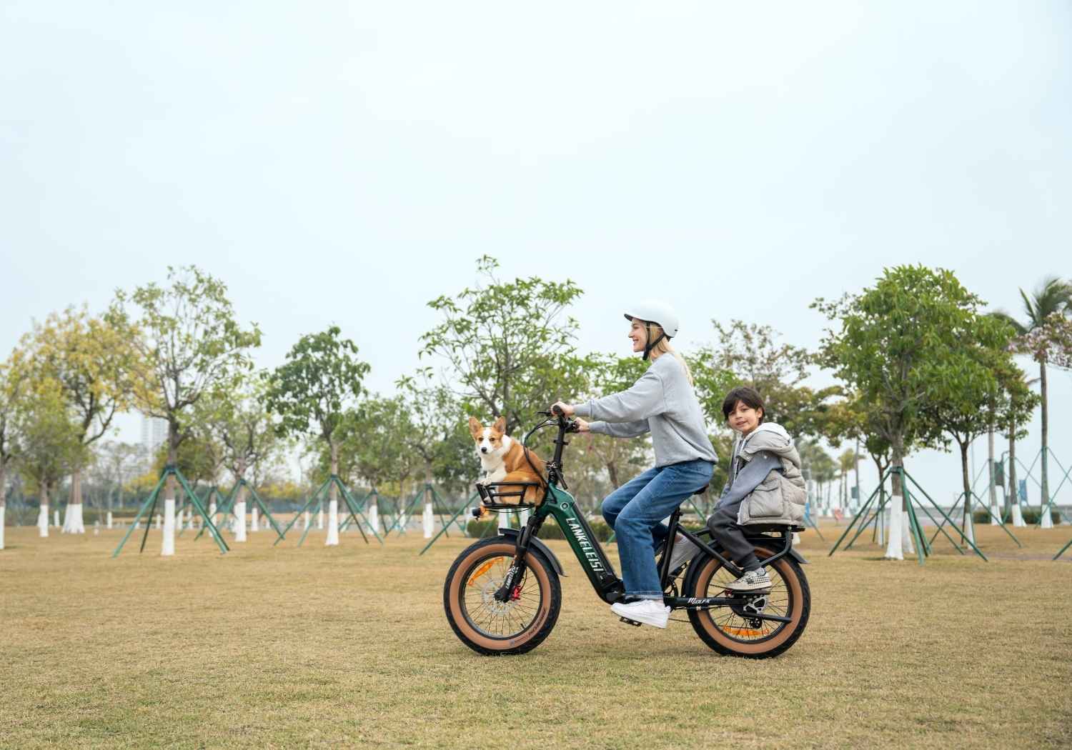 What is an electric fat bike?