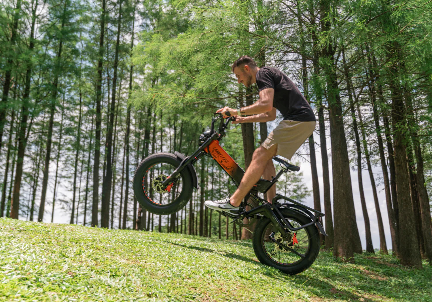 X3000 MAX Vélo électrique Escalade