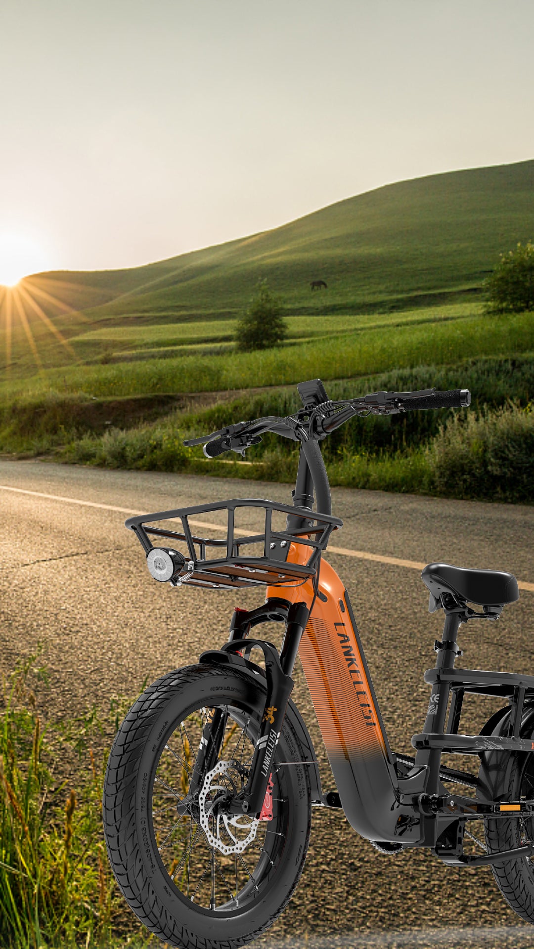 Vélo cargo électrique