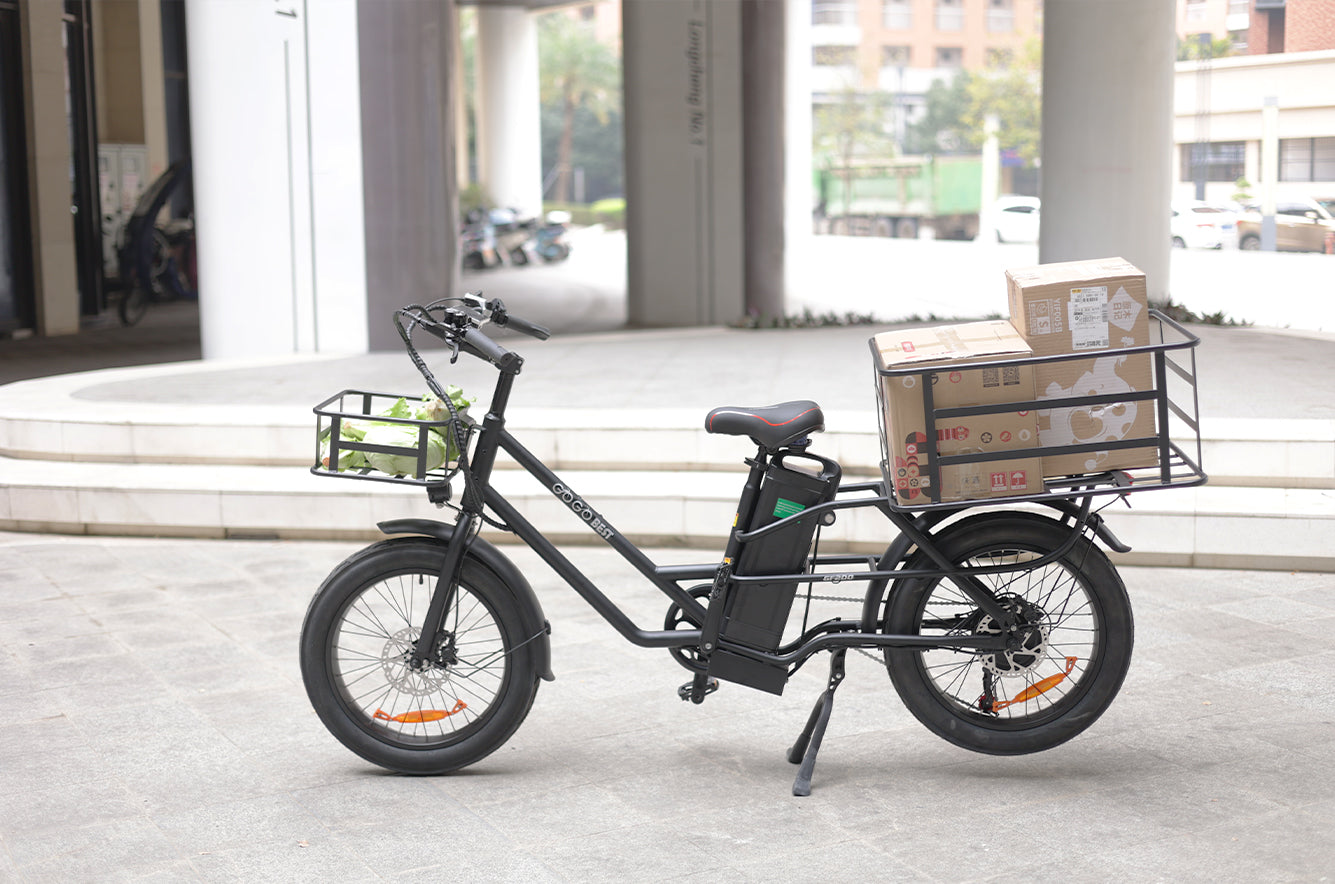 Vélo électrique GF200