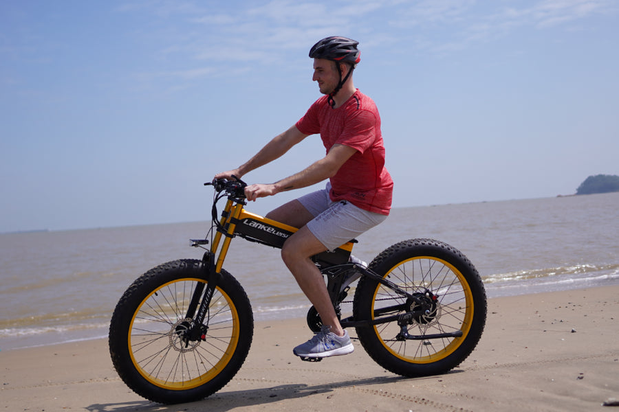 Unique dual-motor electric bike