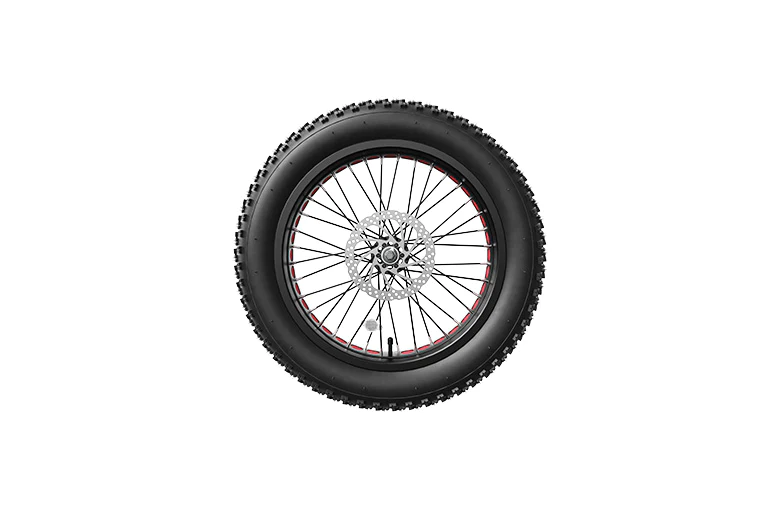 Roue avant pour vélo électrique LANKELEISI - LANKELEISI FRRoue avant pour vélo électrique LANKELEISILANKELEISILANKELEISI FRLANKELEISI FR3135262647612Roue avant pour vélo électrique LANKELEISI