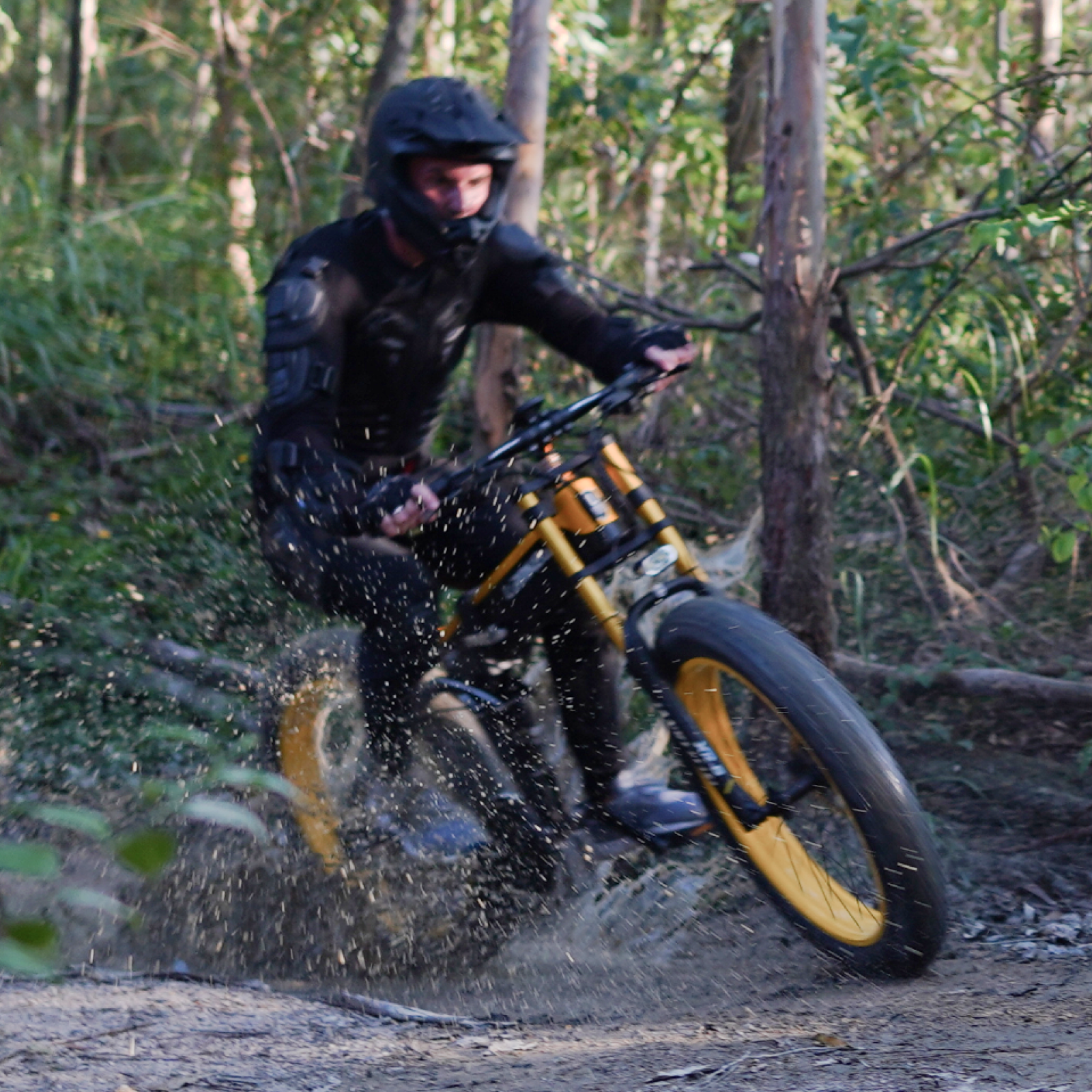 LANKELEISI XT750 PLUS BIG FORK Fat Tire Electric Mountain Bike