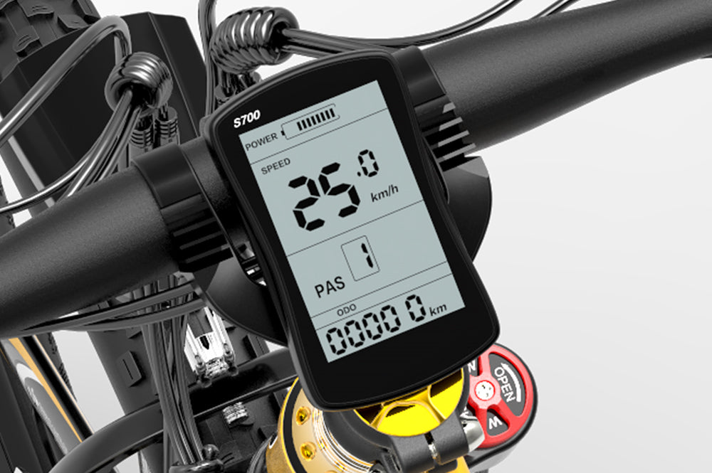 S700/S866/s600 Accessoire d'affichage LCD multifonctionnel pour vélo électrique LANKELEISI - LANKELEISI FRS700/S866/s600 Accessoire d'affichage LCD multifonctionnel pour vélo électrique LANKELEISILANKELEISILANKELEISI FRLANKELEISI FR3159247690554afficheur vélo électrique