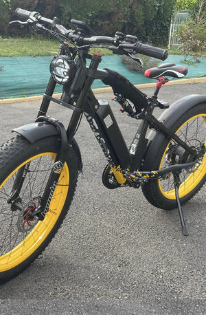 Vélo électrique tout suspendu RV700