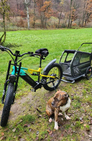 Vélo électrique tout-terrain RV800 Plus