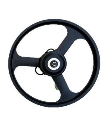 Détails internes du moteur de vélo électrique LANKELEISI