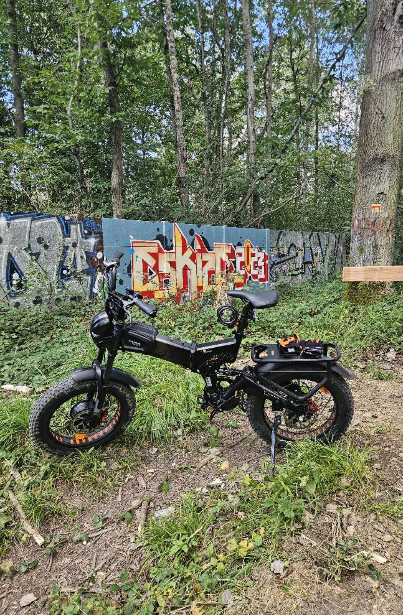 Vélo électrique X3000max 2000W