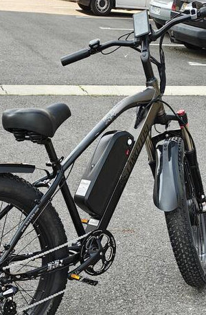 Vélo électrique MG740 PLUS 2000W