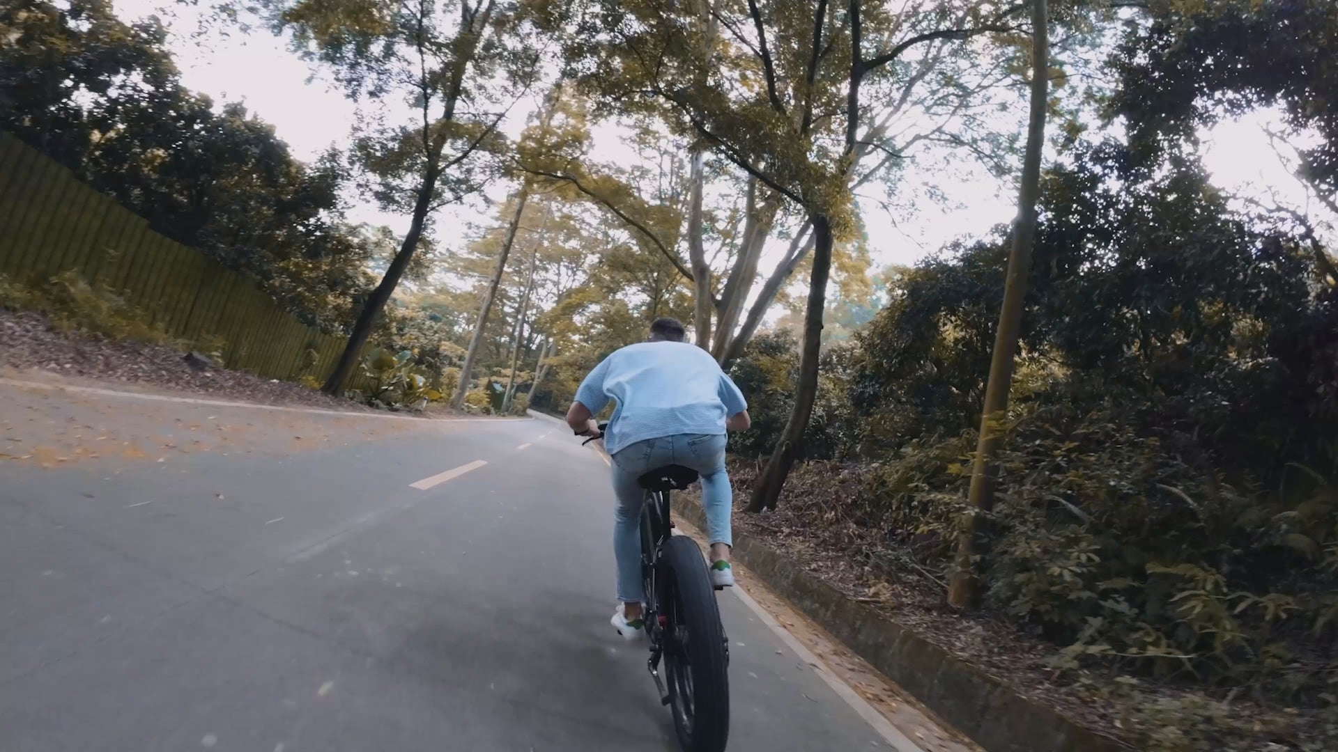 Vélo électrique pliable XT750 PLUS