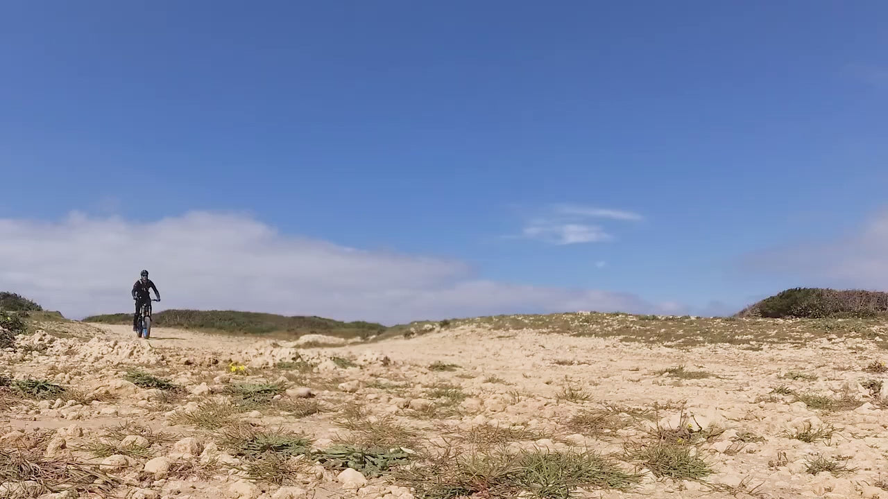 Vélo électrique tout terrain X3000Plus-UP
