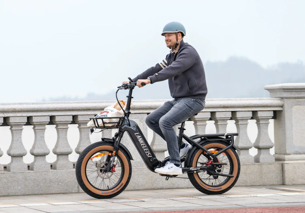 Electric Bike Maintenance Guide!