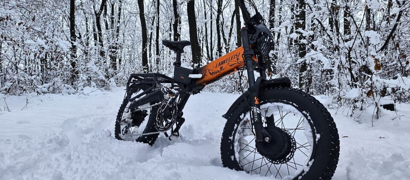 Lankeleisi vélo électrique