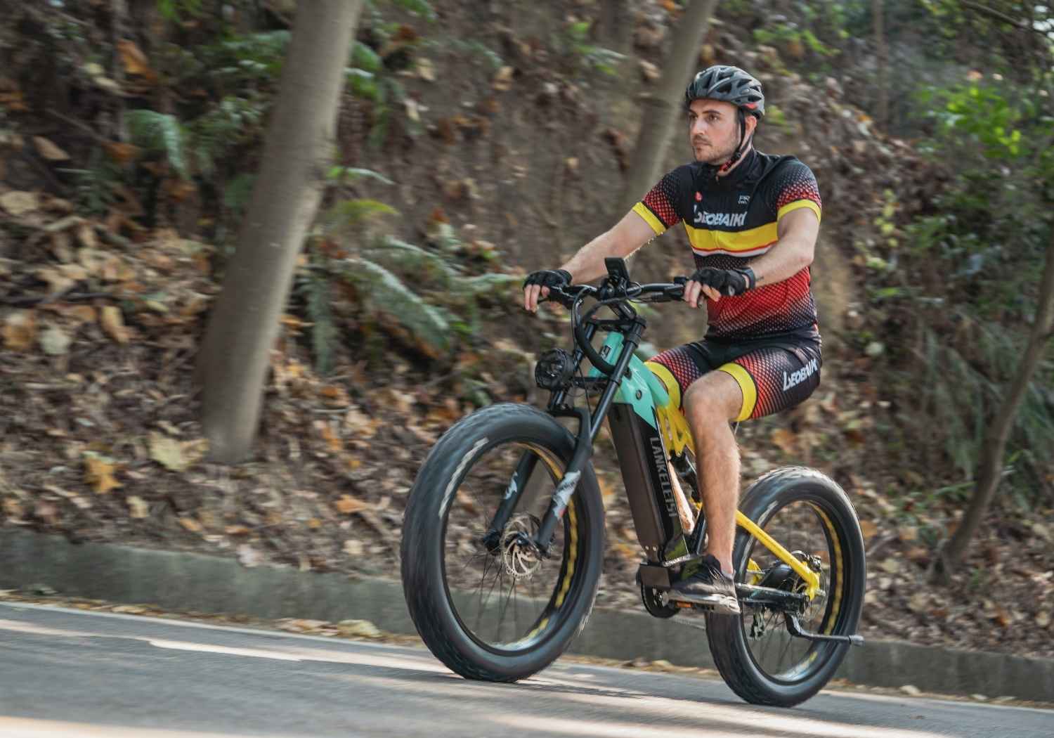Vélo électrique tout-terrain RV800