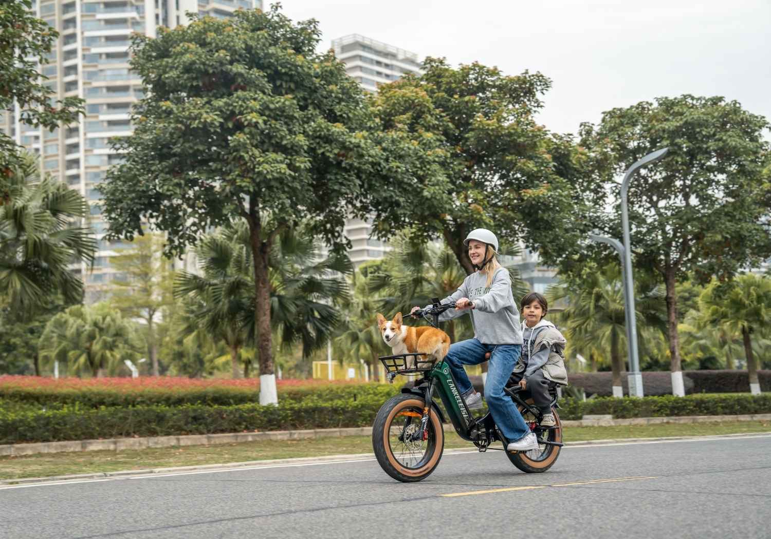 Vélo électrique urbain GOLF-X