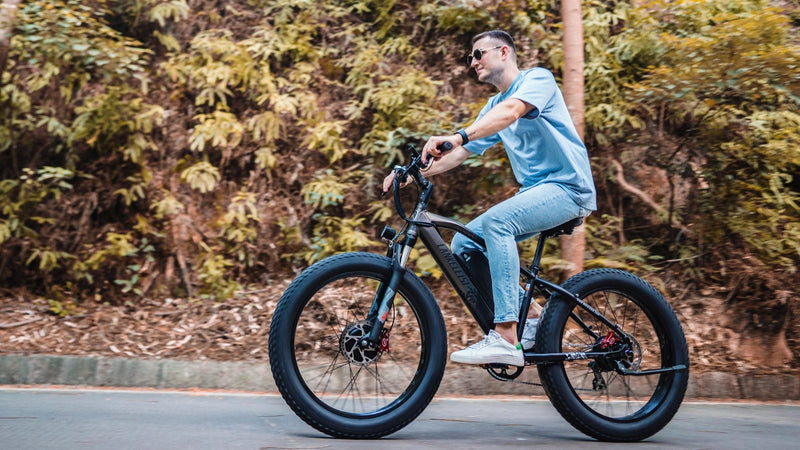 Lankeleisi Vélo électrique