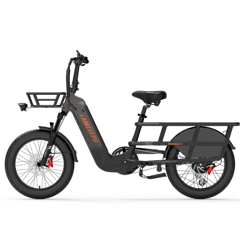 LANKELEISI Wombat-1 1000W à longue portée cargo Vélo électrique