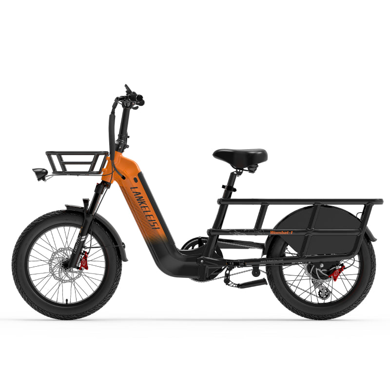 LANKELEISI Wombat-1 1000W à longue portée cargo Vélo électrique