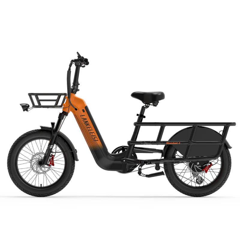 LANKELEISI Wombat-1 1000W long-range cargo electric bike with sturdy frame and cargo rack, black color, parked outdoors.