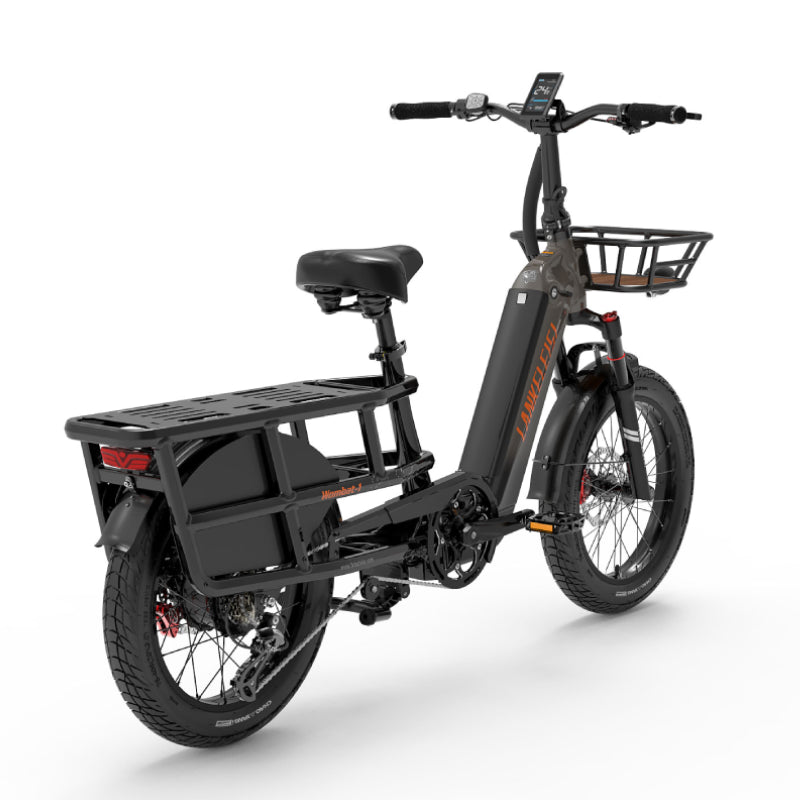 LANKELEISI Wombat-1 1000W à longue portée cargo Vélo électrique