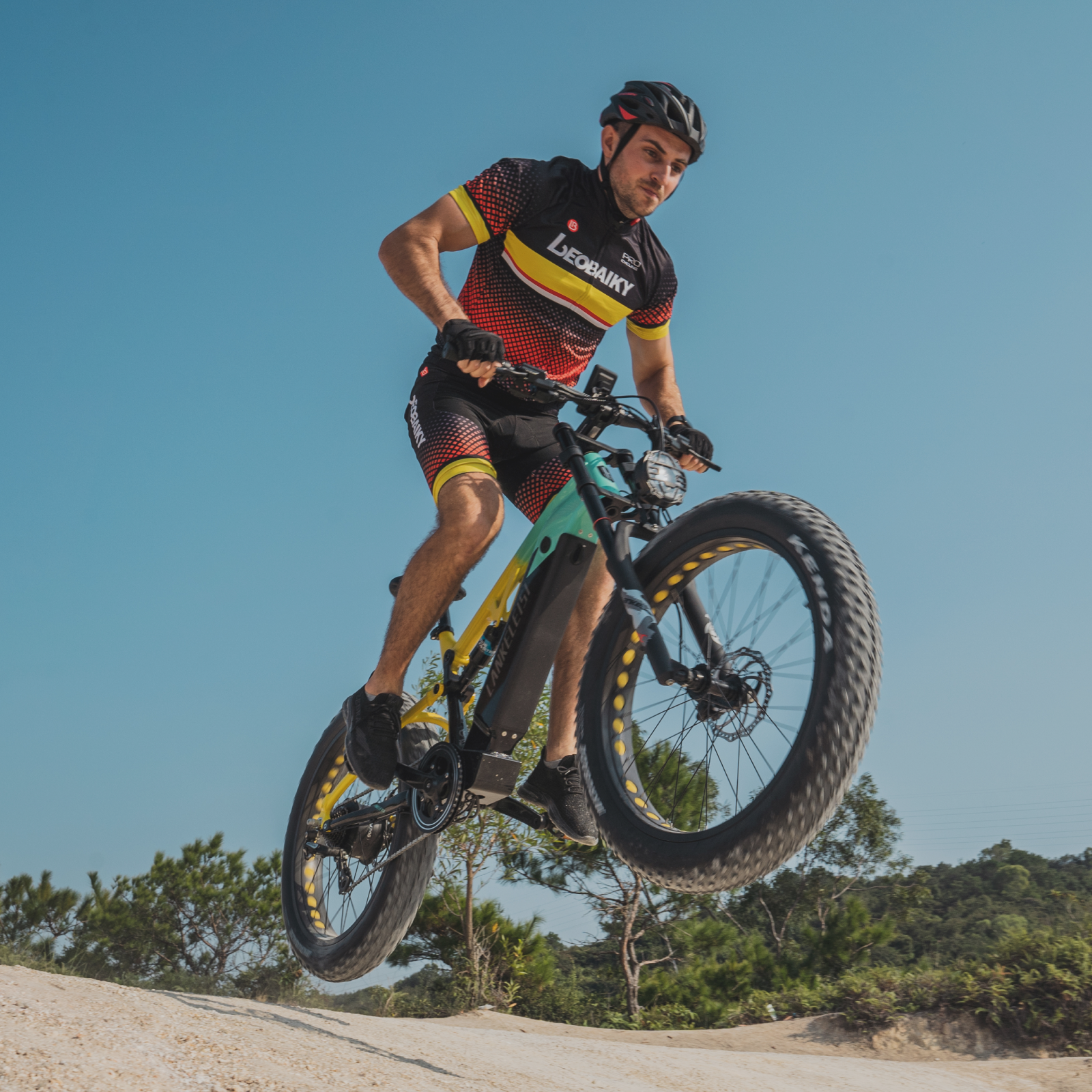LANKELEISI RV800 Highest Quality 750W Bafang Motor Electric Mountain Bike