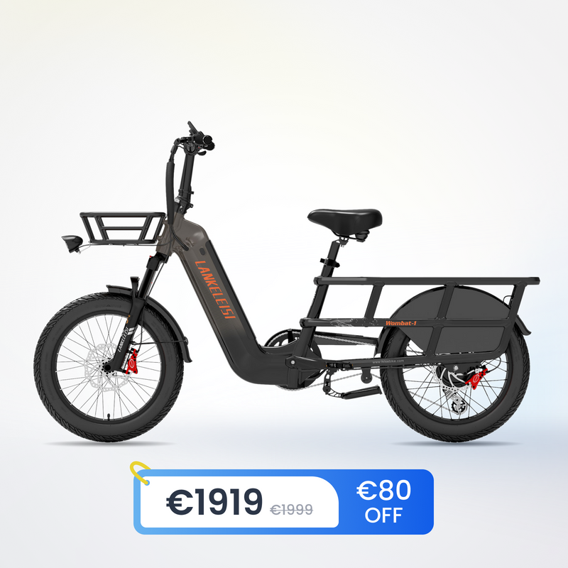 LANKELEISI Wombat-1 1000W Long Range Cargo Electric Bike