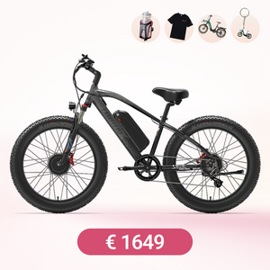 LANKELEISI MG740PLUS Dual Motor All-Terrain Electric Bike