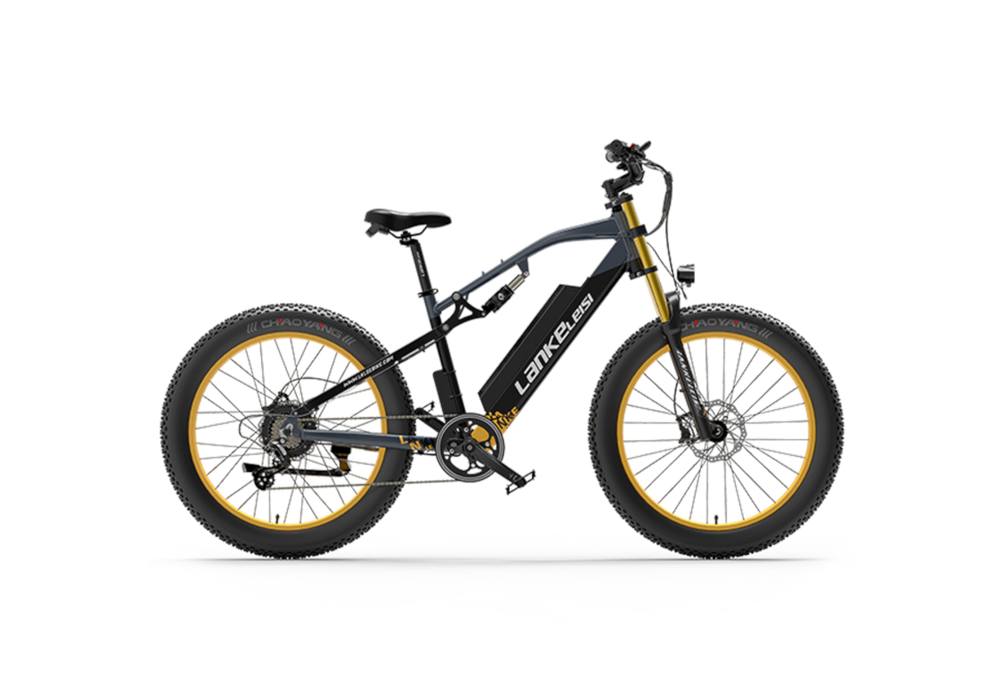 Vélo électrique RV700 Explorer 1000W