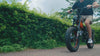 Vélo électrique X3000max 2000W