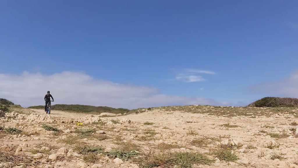 Vélo électrique tout terrain X3000Plus-UP